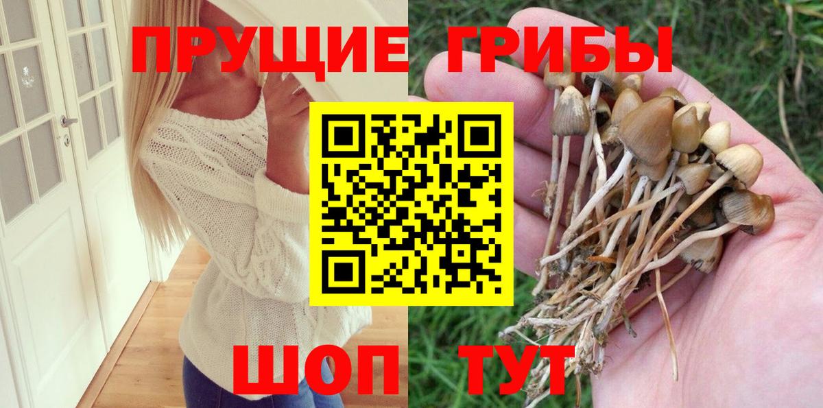 Россия  Псилоцибиновые грибы мицелий  Псилоцибиновые грибы GOLDEN TEACHER  Вход с VPN 